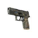 P250 | Exchanger (Field-Tested)