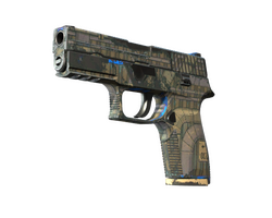 P250 | Exchanger