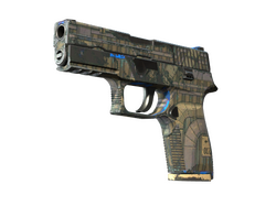P250 | Exchanger