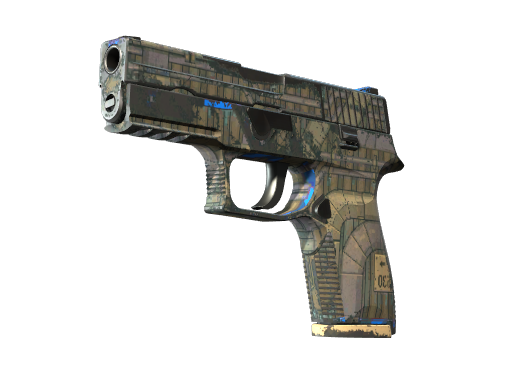 P250 | Exchanger