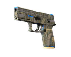 P250 | Exchanger