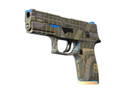 P250 | Exchanger
