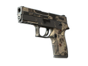 P250 | Black & Tan (Battle-Scarred)