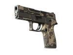 P250 | Black & Tan (Battle-Scarred)
