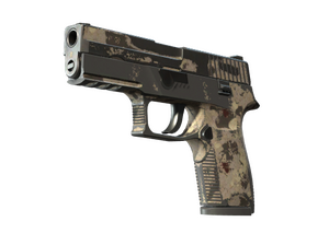 P250 | Black & Tan (Battle-Scarred)