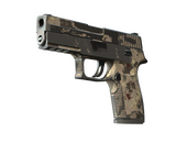 Souvenir P250 | Black & Tan (Battle-Scarred)