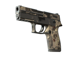 Souvenir P250 | Black & Tan (Battle-Scarred)