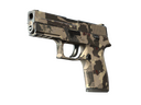 P250 | Black & Tan (Field-Tested)