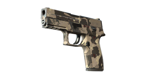 Souvenir P250 | Black & Tan (Well-Worn)