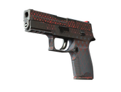 P250 | Малиновое кимоно (После полевых испытаний)