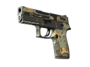 P250 | Modern Hunter (Battle-Scarred)