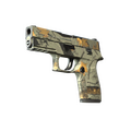 P250 | Modern Hunter