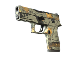 P250 | Modern Hunter (Well-Worn)