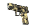 P250 | Contamination (Well-Worn)
