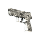 P250 | Sleet (Minimal Wear)
