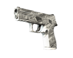 P250 | Sleet