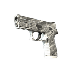 Souvenir P250 | Sleet (Factory New)