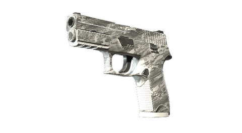 P250 | Sleet (Factory New)