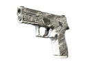 P250 | Sleet (Field-Tested)