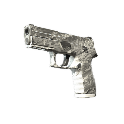 P250 | Sleet (Field-Tested) thumbnail