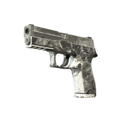 Souvenir P250 | Sleet (Battle-Scarred)