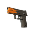 P250 | Splash