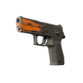 P250 | Splash