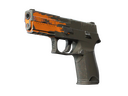 StatTrak™ P250 | Splash (Field-Tested)