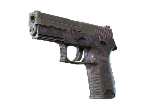 P250 | Plum Netting (Battle-Scarred)