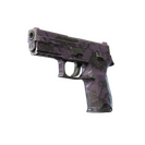 P250 | Plum Netting (Field-Tested)