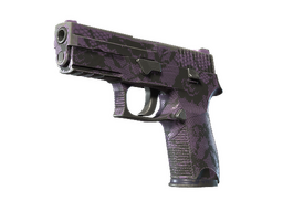 P250 | Plum Netting (Well-Worn)