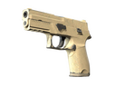 P250 | Sand Dune (Well-Worn)