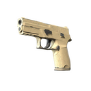 P250 | Sand Dune (Well-Worn)