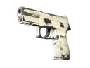 P250 | Whiteout (Battle-Scarred)