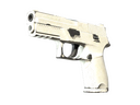 P250 | Whiteout (Well-Worn)