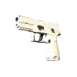 Souvenir P250 | Whiteout (Field-Tested)