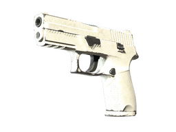 P250 | Whiteout (Well-Worn)