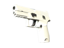 P250 | Whiteout (Factory New)