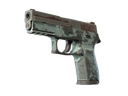 P250 | Copper Oxide (Battle-Scarred)