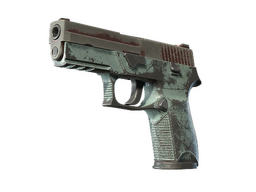 P250 | Copper Oxide (Battle-Scarred)