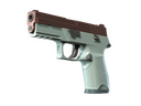 P250 | Copper Oxide (Factory New)