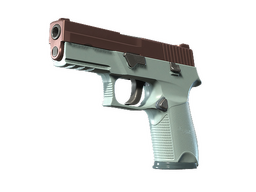 P250 | Copper Oxide (Minimal Wear)