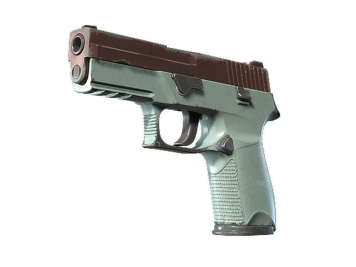 P250 | Copper Oxide (Field-Tested)