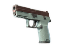 P250 | Copper Oxide (Well-Worn)