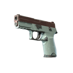 Souvenir P250 | Copper Oxide (Field-Tested)