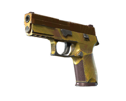 P250 | Sedimentary