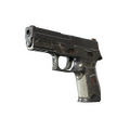P250 | Small Game