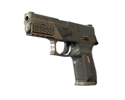 StatTrak P250 | Bullfrog