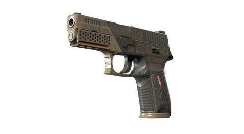 P250 | Bullfrog (Minimal Wear)