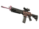 SG 553 | Desert Blossom (Well-Worn)